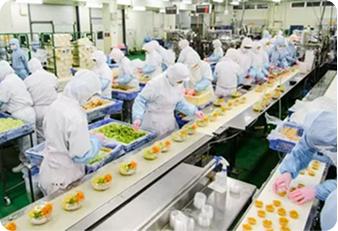 外食業（接客・調理）