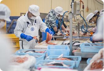 外食業（接客・調理）